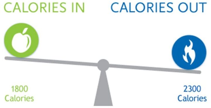 ダイエットに重要な「カロリーインカロリーアウト」と基礎代謝の画像